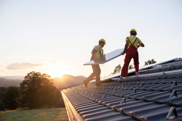 Best Roof Moss and Algae Removal  in Brooks, KY